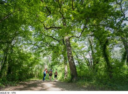 Sentier sur l'Islon Saint Luc