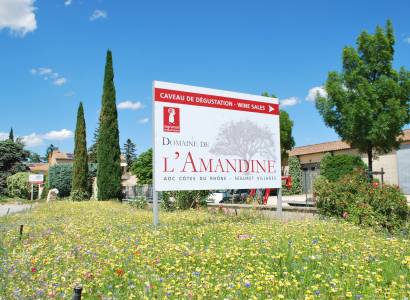Visite de la cave - Domaine de l'Amandine