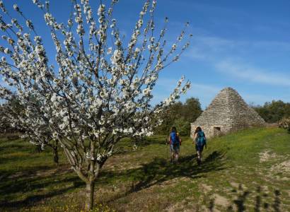 GR® de Pays Luberon - Monts de Vaucluse : Tour du Petit Luberon