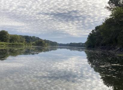 Plan d'eau Parc des Libertés - Le Rhône