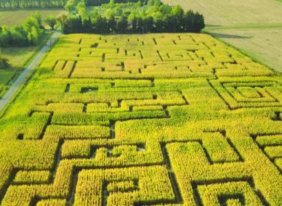 Labyrinthe les Hautes Herbes