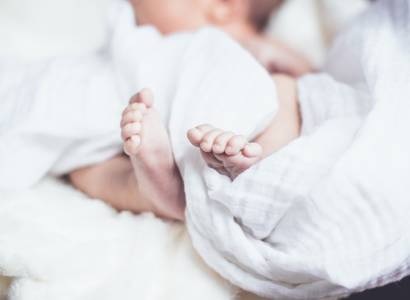Bébé Chrysalide
