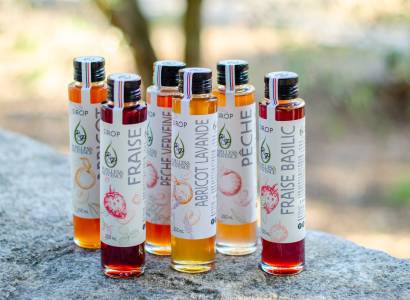 Papilles & Provence