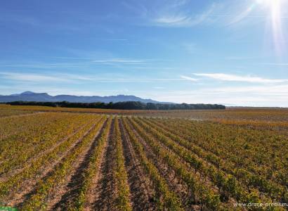 Domaine de la Damase