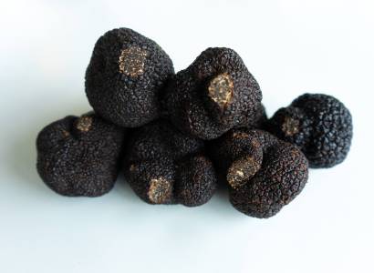 La Cigale et la Truffe