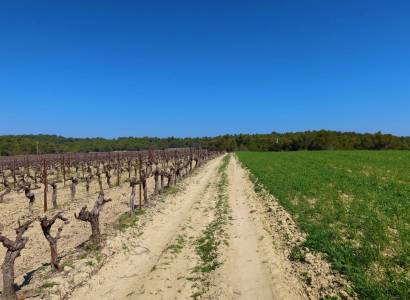 BEAUMONT-DE-PERTUIS - Entre collines boisées et cultures ancestrales