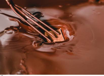 Séminaire, atelier et cohésion à la chocolaterie Castelain