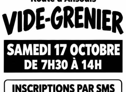 Vide grenier  à Villelaure