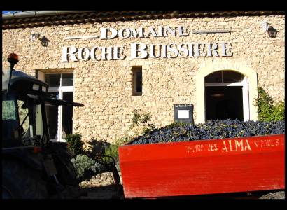Visite de la cave - Domaine La Roche Buissière