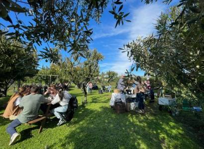 Vignobles en Scène : Déjeuner truffé au domaine Aymard avec les frères Jaumard