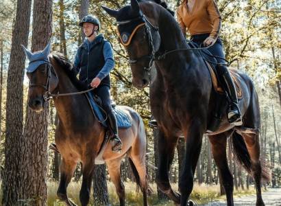 Nature Horse 84