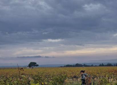 Domaine Elodie Jaume