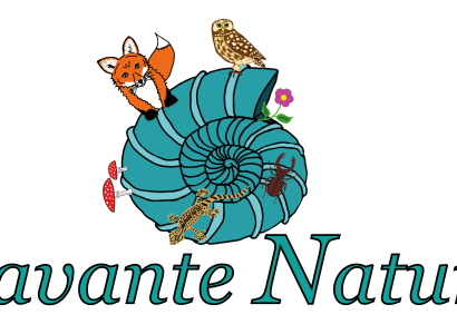 Savante Nature