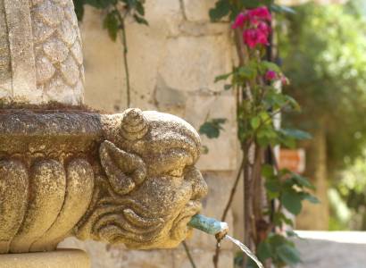 Provence by Anouchka