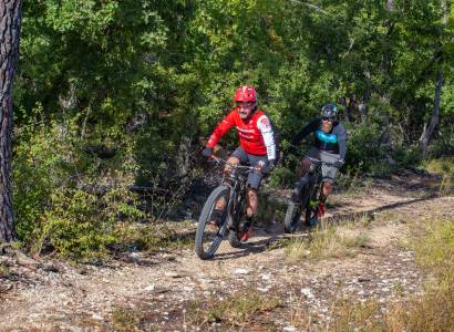 VTT - Montée du Ventoux Est