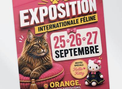 Exposition féline