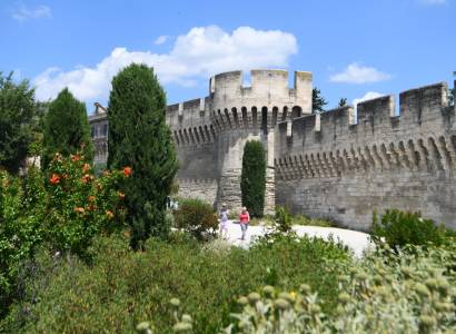 Cycle de visites guidées Avignon extra-muros