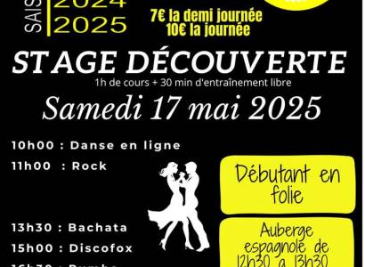 Stage Découverte de danses