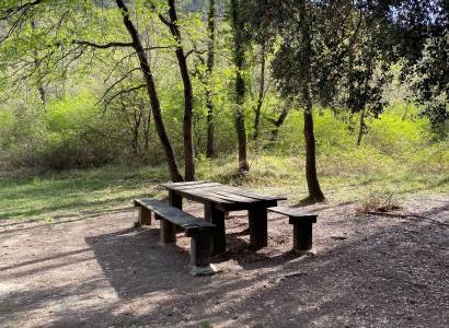 Aire de pique-nique forêt Buisson