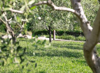Jardin du Mont Ventoux