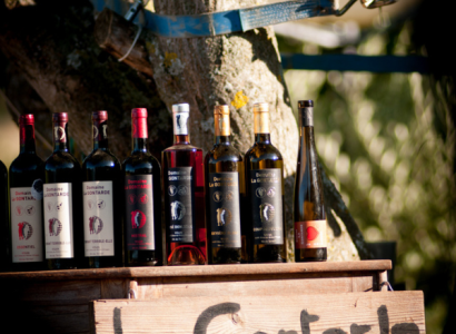 Domaine la Gontarde