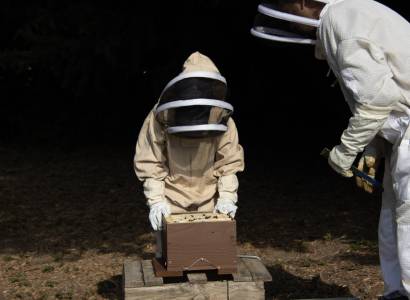 Atelier découverte de l'apiculture - Happy Culture