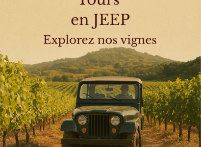 Balade en Jeep dans le vignoble et dégustation - Domaine Juliette Avril