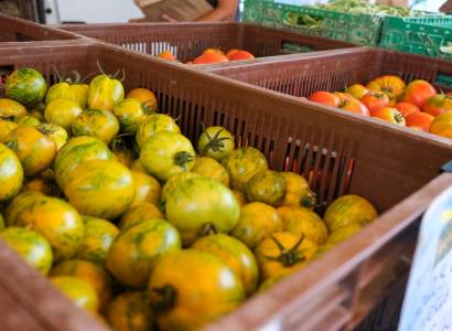 Marché de producteurs des allées de l'Oulle