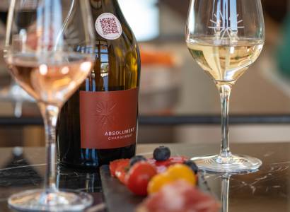 Introduction à l'Oenologie dégustation vins et planche gourmande aux Terrasses d'Adrien