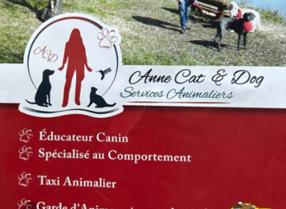 Anne Cat & Dog
