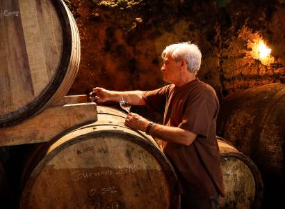 Visite de la cave - Domaine Richaud
