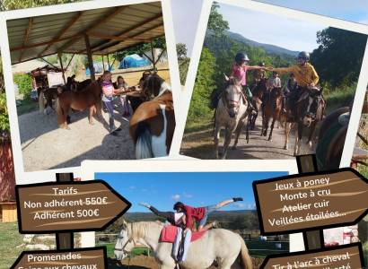 Camps au Poney Rouge