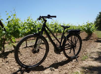 Sun e Bike