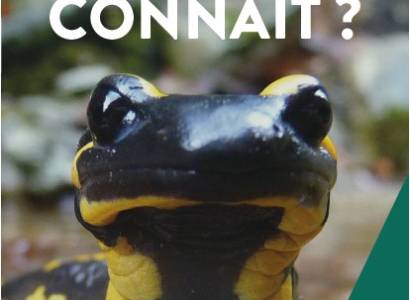 Rendez-vous Nature : À la découverte de la Fontaine de Vaucluse