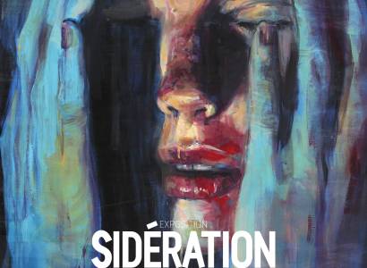 Exposition SIDERATION de CHRISTIAN VOLCKMAN