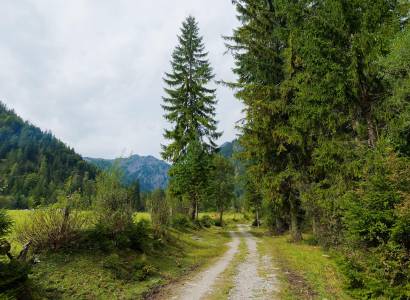 Rendez-vous Nature : Gestion de la forêt méditerranéenne