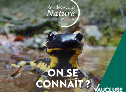 Rendez-vous Nature : Le moulin Virgile, de l'ombre à la lumière