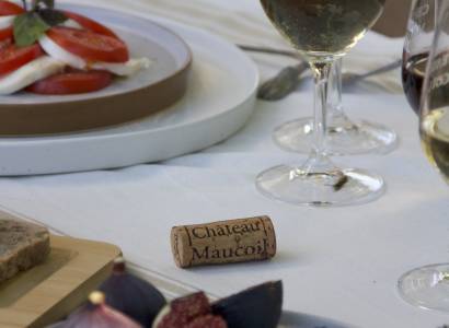 Tour et dégustation au Château Maucoil