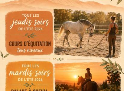 Cours d'équitation tous niveaux - Les sabots du limon