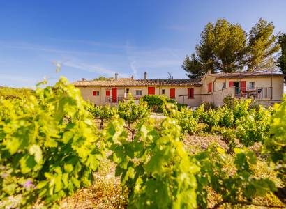 Vignobles en Scène :  De Barrique en Barrique