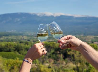Vignobles en scène : Visite du chai de biodynamie