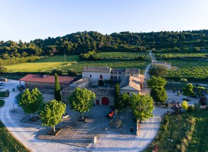 Vignobles en Scène : À la recherche de la bouteille perdue