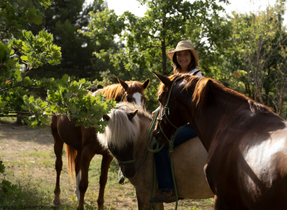 Ecurie des murmures - La relation Cheval-Humain au coeur du Luberon