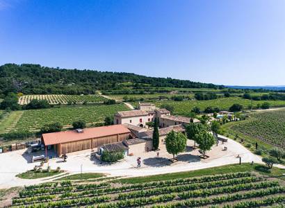 Balade gourmande au coeur des vignes & des vins de l'AOP Ventoux