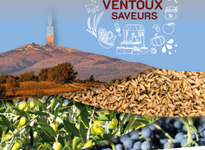 Balade vigneronne gourmande