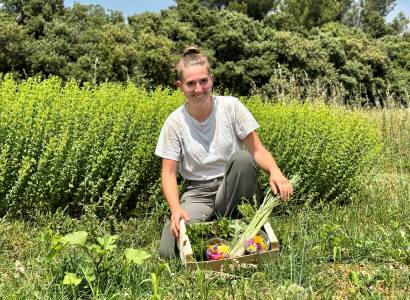 Festival Ventoux Saveurs : Découverte et dégustation de plantes aromatiques et médicinales