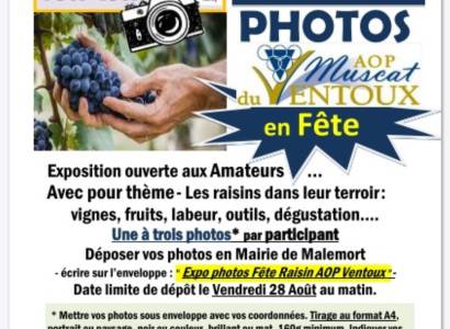 Exposition photos "Les raisins dans leur terroir".
