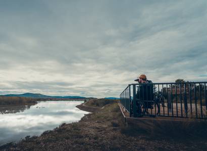 Journées Nationales Tourisme et Handicap : Balade sur les traces des oiseaux