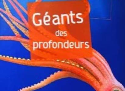 Géants des Profondeurs - Conférence et Projection