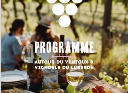 Vignobles en Scène :  PEINTURE SUR BOUTEILLE au Temps des sages à Cabrières d 'Aigues